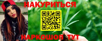 индика Кандалакша